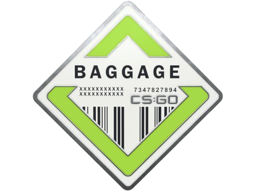 Baggage Pin