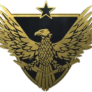 Brigadier General Pin