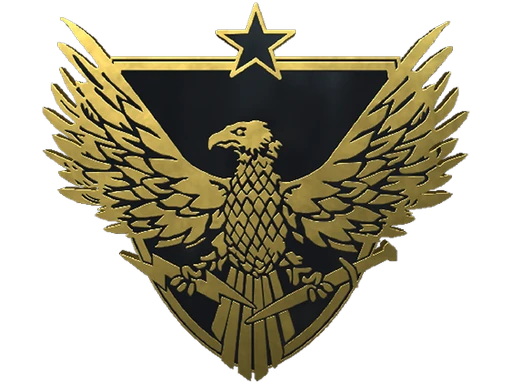 Brigadier General Pin