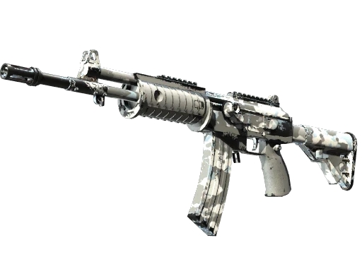 Galil AR | Winter Forest (Well-Worn)