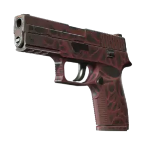 P250 | Contaminant (Well-Worn)
