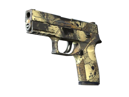 P250 | Contamination (Well-Worn)