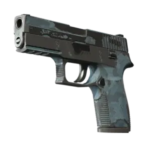 P250 | Forest Night (Battle-Scarred)
