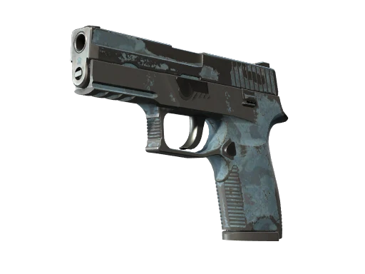 P250 | Forest Night (Battle-Scarred)