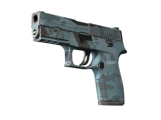 P250 | Forest Night (Well-Worn)