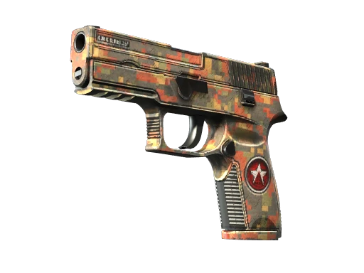 P250 | Red Rock (Well-Worn)