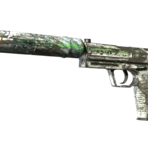 Souvenir USP-S | Road Rash (Battle-Scarred)