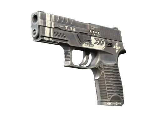 StatTrak™ P250 | Re.built (Factory New)
