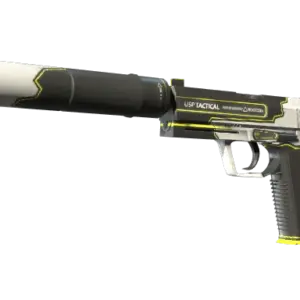 USP-S | Torque (Minimal Wear)
