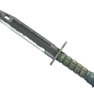 ★ Bayonet | Night (Battle-Scarred)