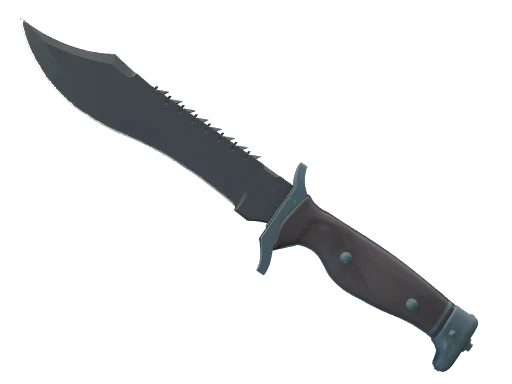 ★ Bowie Knife | Night (Minimal Wear)