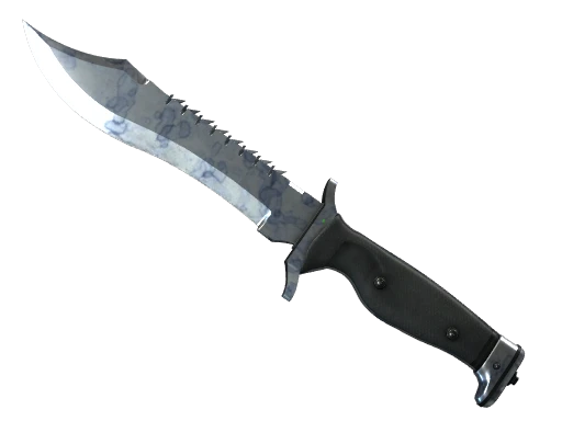 ★ Bowie Knife | Stained (Factory New)