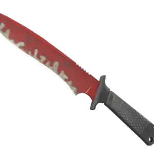★ Classic Knife | Crimson Web (Field-Tested)
