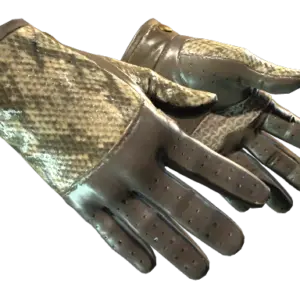 ★ Driver Gloves | Diamondback (Well-Worn)