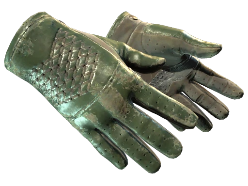 ★ Driver Gloves | Racing Green (Battle-Scarred)