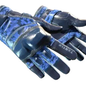 ★ Moto Gloves | Polygon (Field-Tested)