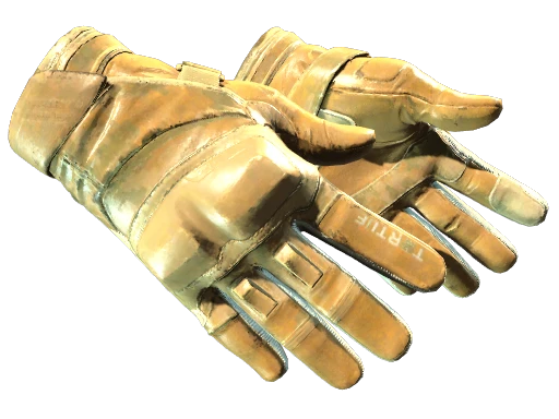 ★ Moto Gloves | Transport (Field-Tested)