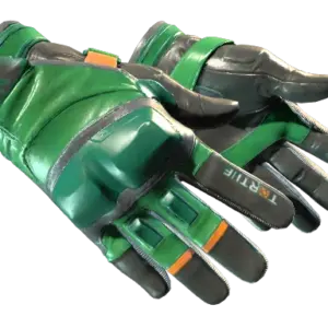 ★ Moto Gloves | Turtle (Minimal Wear)