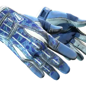 ★ Sport Gloves | Amphibious (Field-Tested)