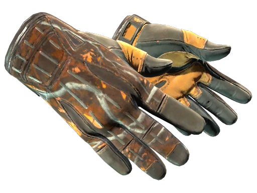 ★ Sport Gloves | Big Game (Well-Worn)