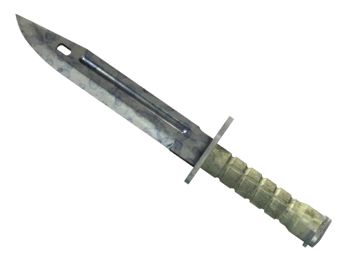 ★ StatTrak™ Bayonet | Stained (Field-Tested)