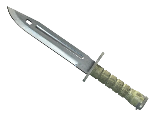 ★ StatTrak™ Bayonet
