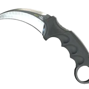 ★ StatTrak™ Karambit