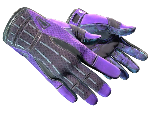 ★ Sport Gloves | Pandora's Box (Well-Worn)
